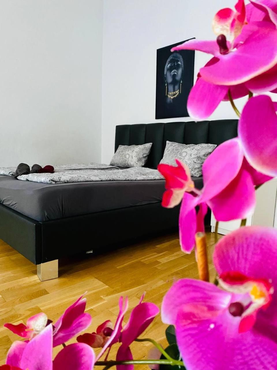 Apartment Cozy 2br For 6p, 10min Transport To Stadthalle *